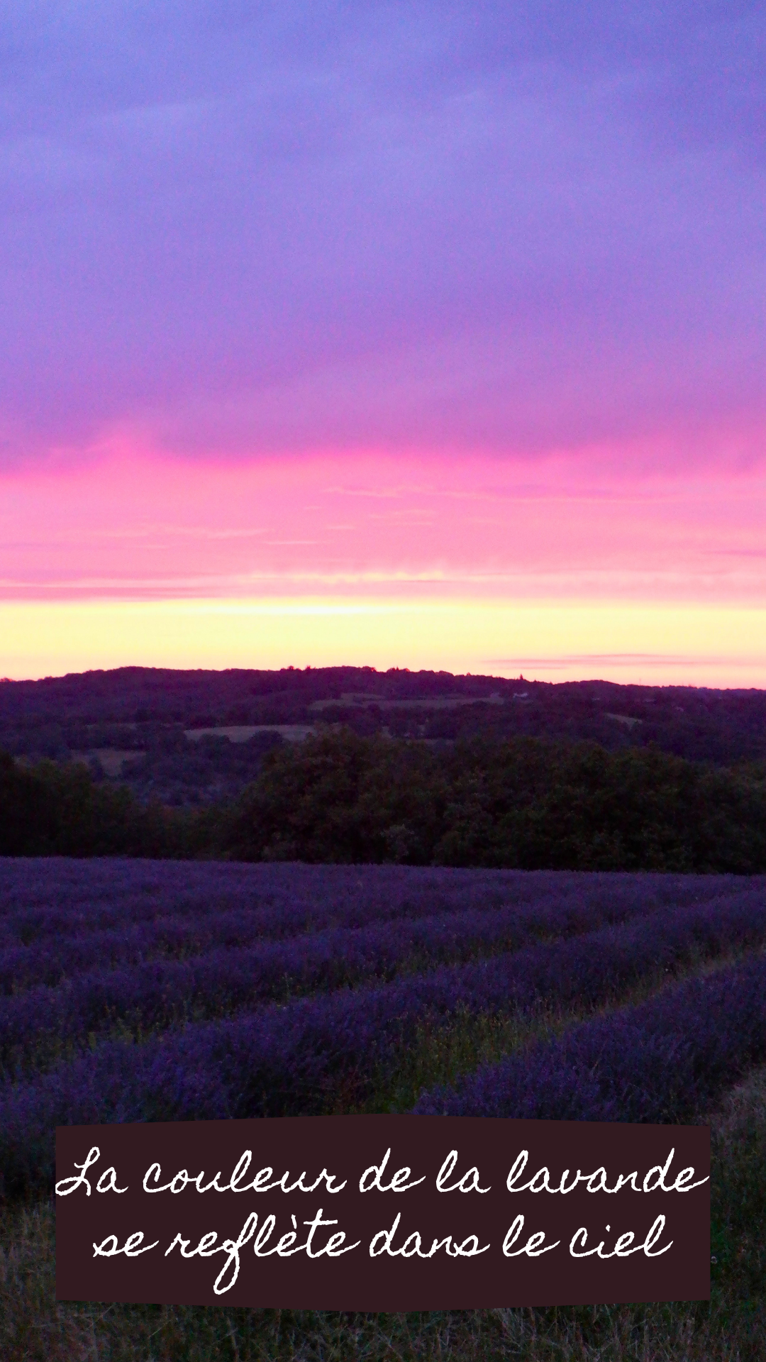 Entre causse et campagne: les Causses du Quercy